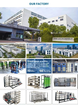 500/1000/1500/2000 LPH RO Reverse Osmosis Water Filter System  Purification Systems Water Treatment Machinery